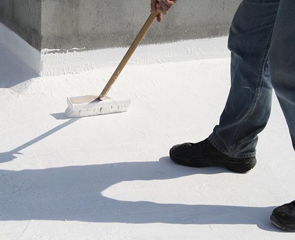 Roof Maintenance